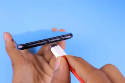 Kazino Dogs Fortune Mobilioji programa